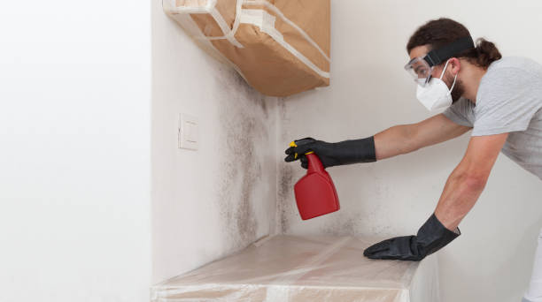 Professional Commercial Mold Remediation technician working in Malverne, NY
